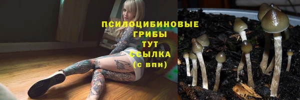 стафф Верея