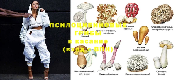 стафф Верея