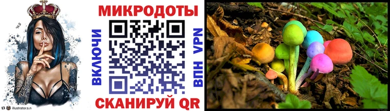 Галлюциногенные грибы Psilocybine cubensis ссылка на мегу маркетплейс Грозный